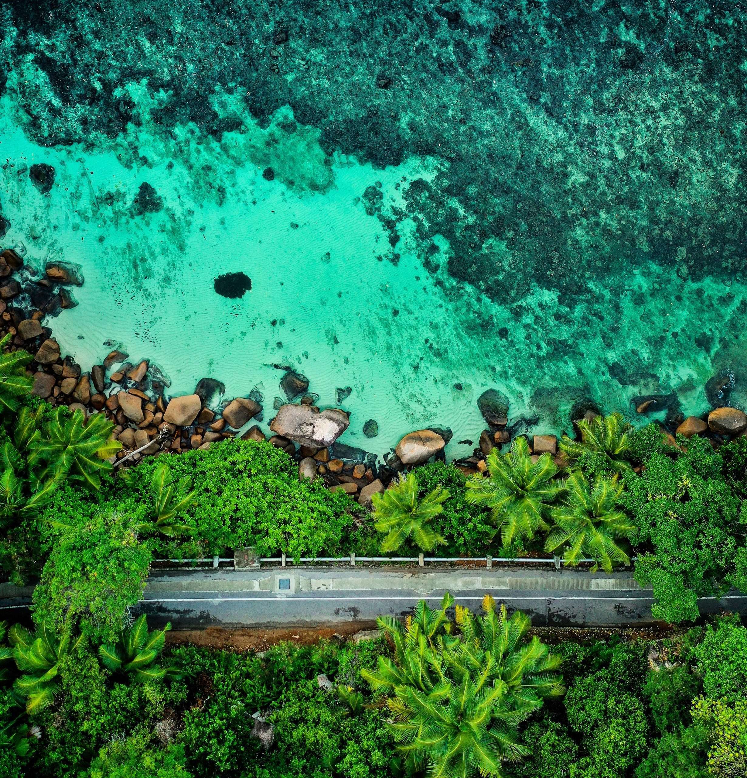 About The Seychelles